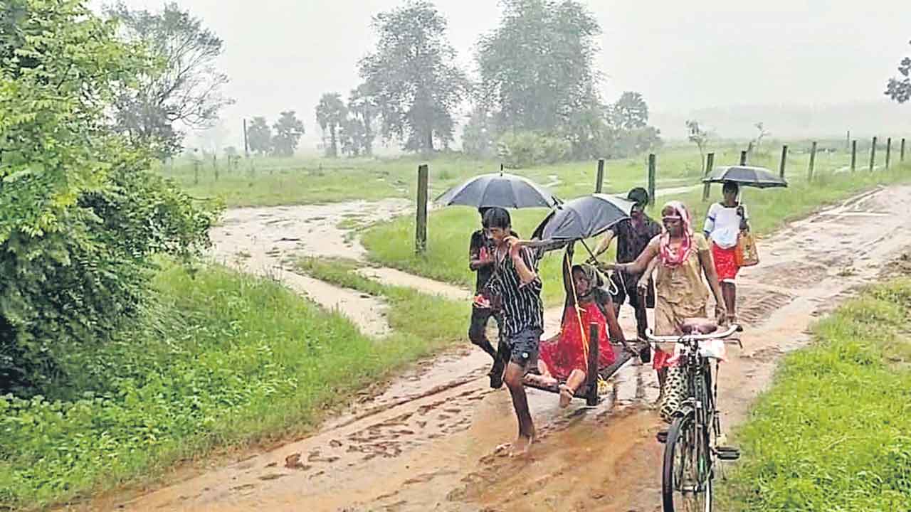 Kothagudem | జడివానలో జడ్డీపై నిండు గర్భిణి.. 3 కి.మీ. మోసుకెళ్లిన ఆదివాసీలు