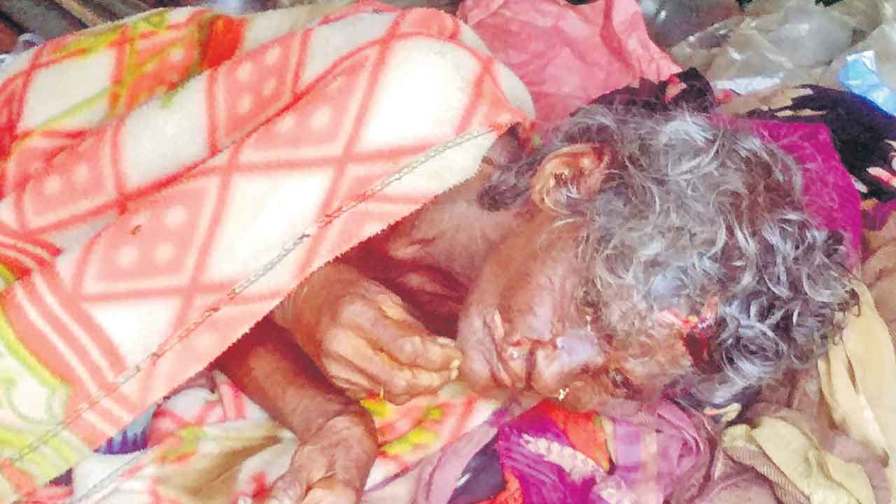 పండుటాకుకు ఎంతకష్టం