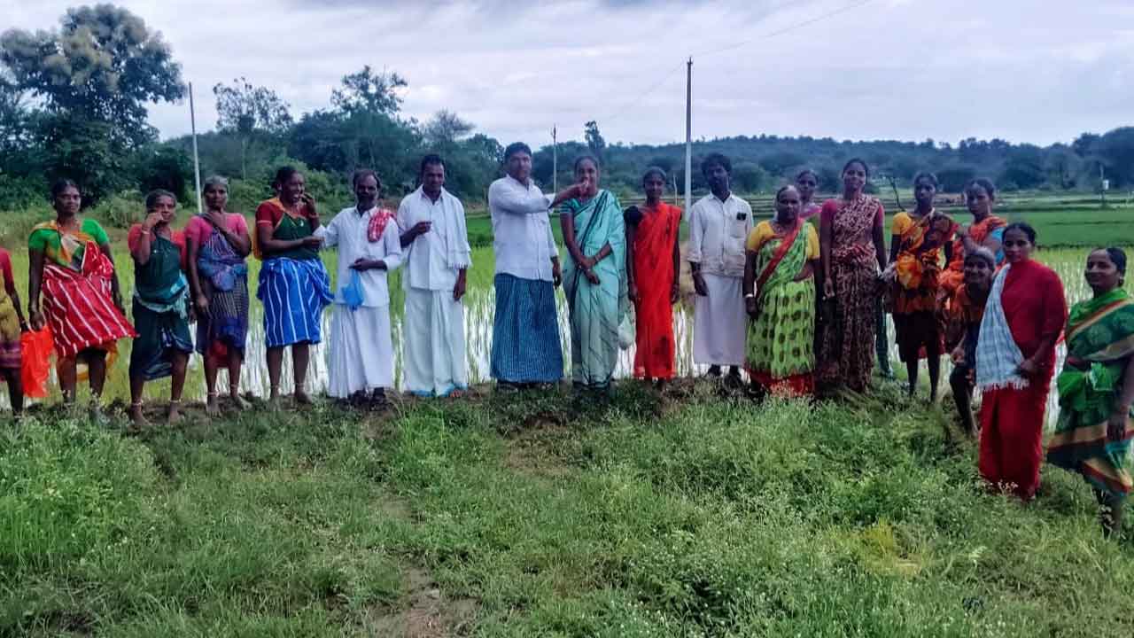 బీఆర్‌ఎస్‌ సంబురాలు