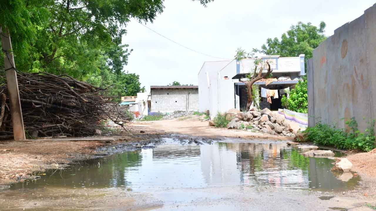 కానరాని పారిశుధ్యం