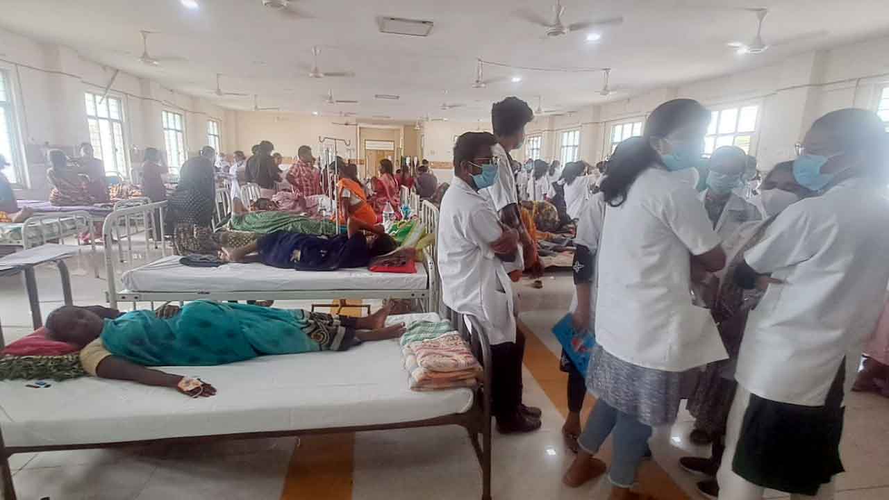 ప్రతి ఇంట్లో జ్వర పీడితులే..