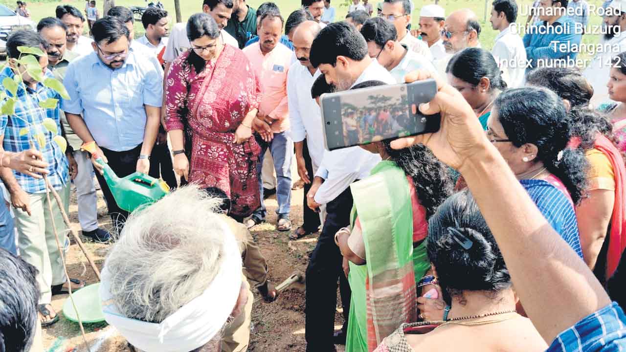 మొక్కల పెంపకం.. అందరికీ ఆరోగ్యం