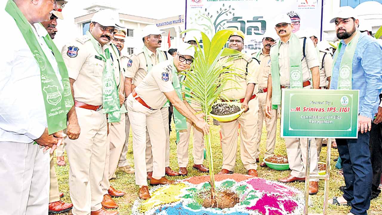 మొకల సంరక్షణ అందరి బాధ్యత