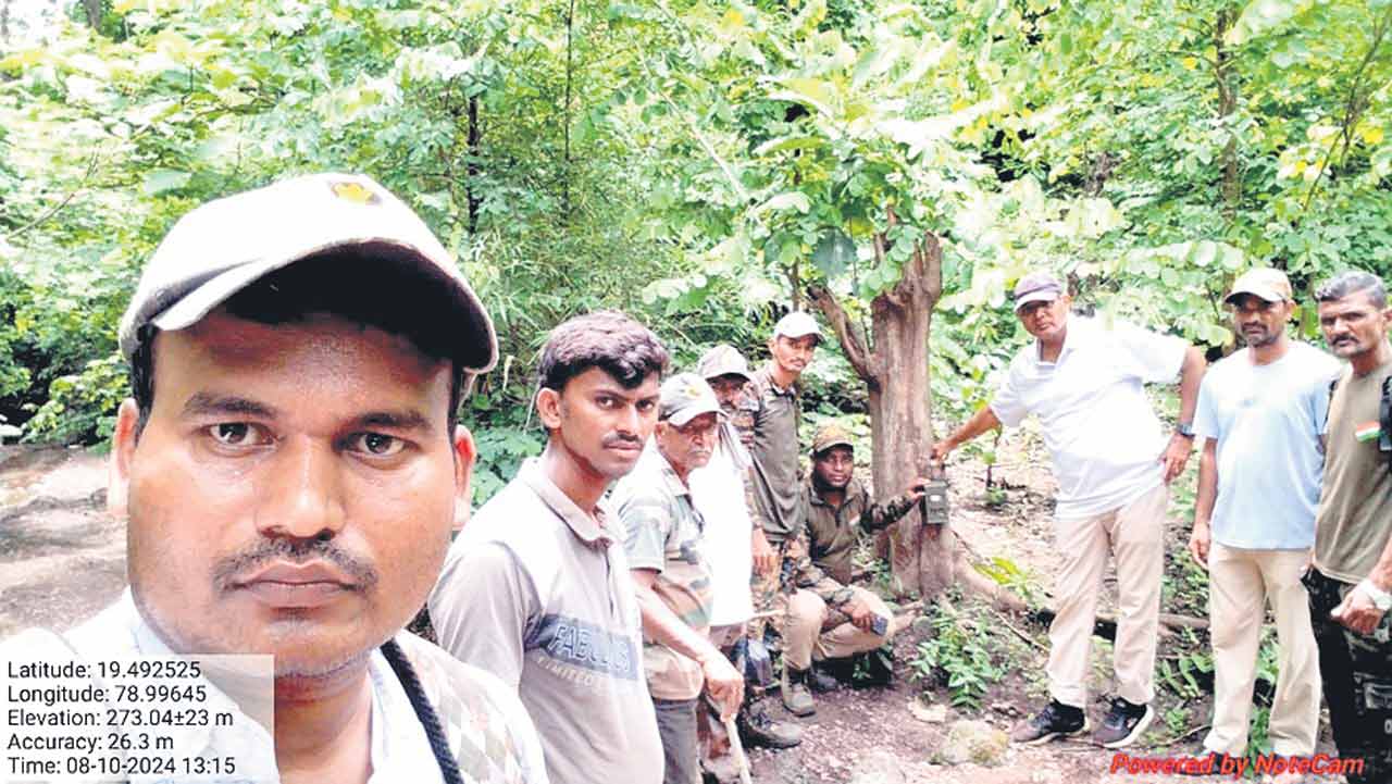 పులి కోసం నిఘా