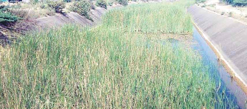 Adilabad6