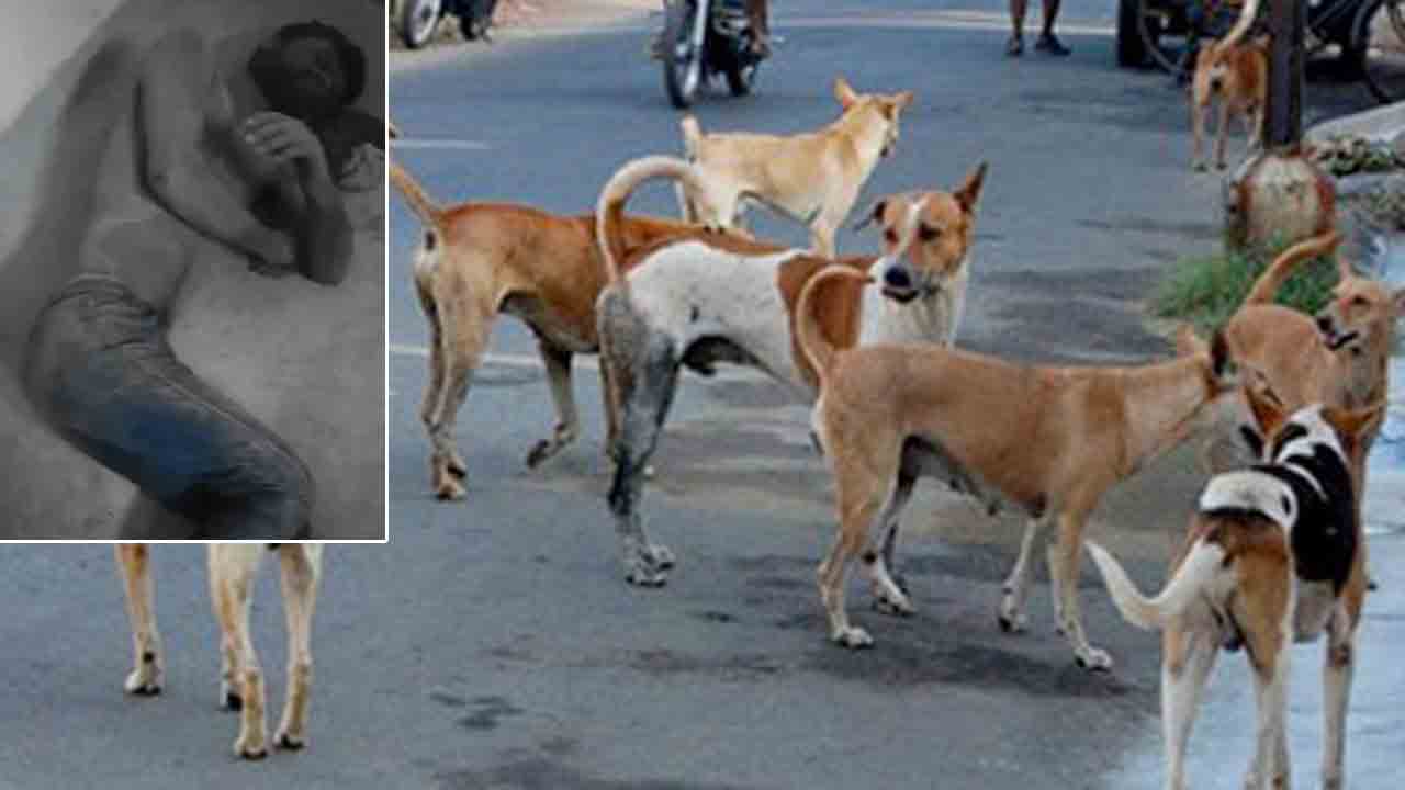Agra Man | నలుగురు వ్యక్తులు సజీవంగా పాతిపెడితే.. వీధి కుక్కలు తొవ్వడంతో బతికి బయటపడ్డా : ఆగ్రా వ్యక్తి