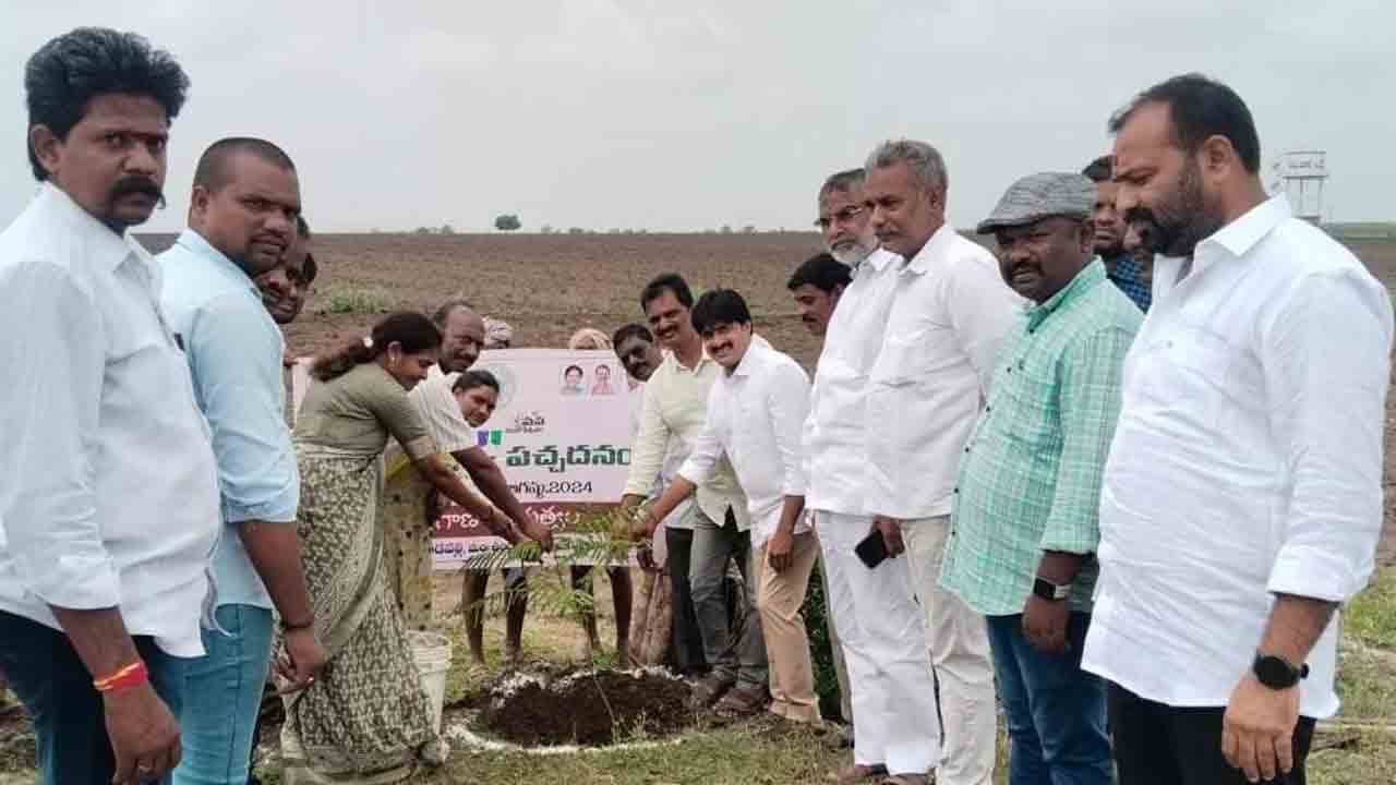 పర్యావరణ పరిరక్షణకు మొక్కలే ఆధారం