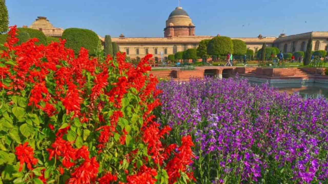 Amrit Udyan | రాష్ట్రపతి భవన్‌లో తెరుచుకోనున్న అమృత్‌ ఉద్యాన్‌.. సందర్శకులకు ఉచిత ప్రవేశం