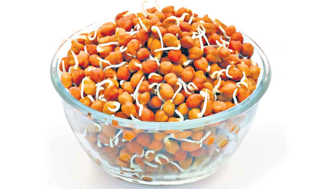 శనగలకు శాస్త్రీయత ఏమిటి?