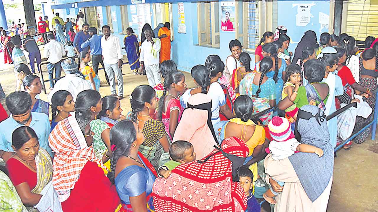 ఒక్క నెలలో 13 డెంగీ కేసులు