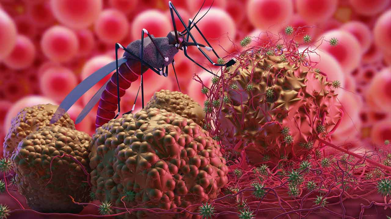 సీజనల్‌ దాడిని.. తిప్పికొదాం!