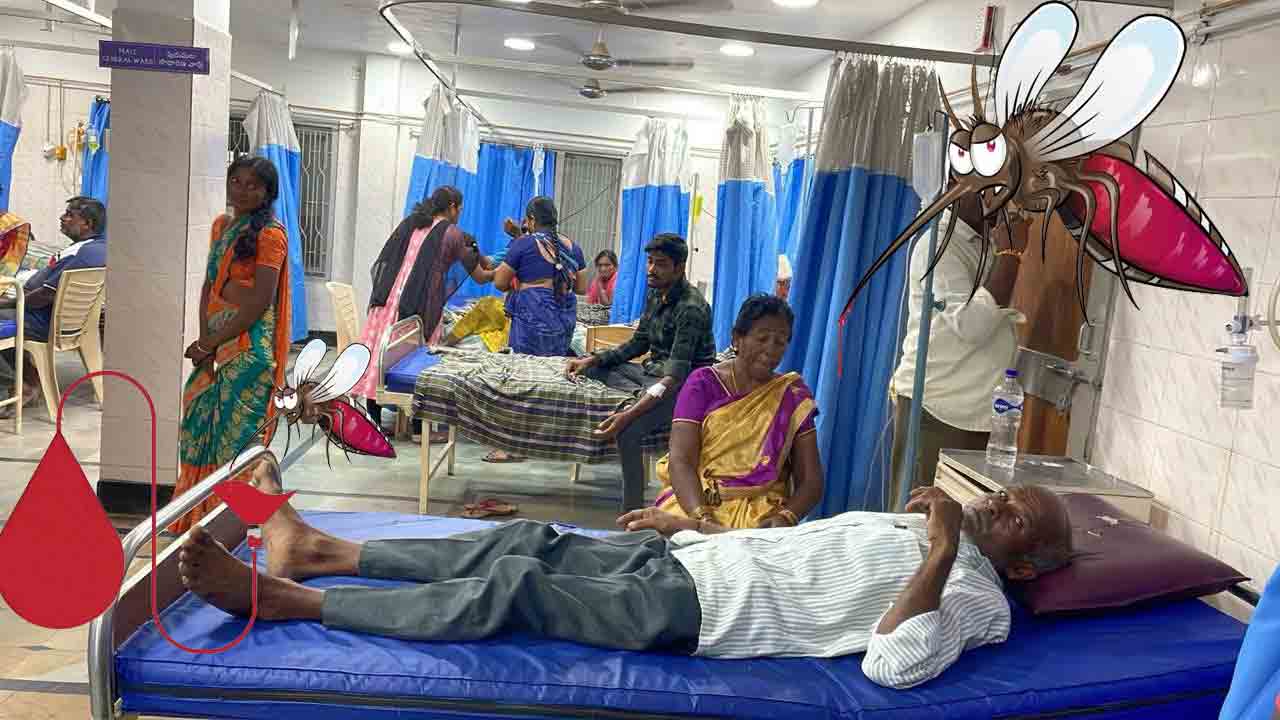 డెంగీ పంజా