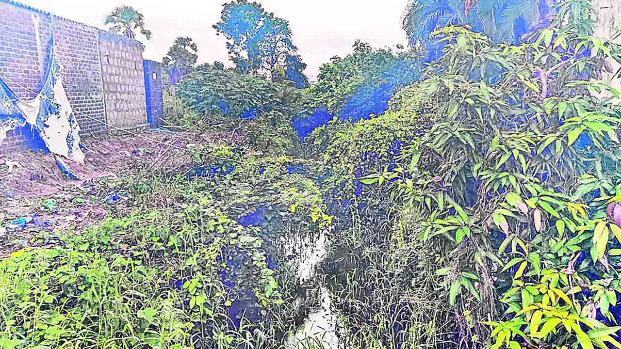 పంట కాల్వలు ఇలా.. సాగు నీరందేదెలా!