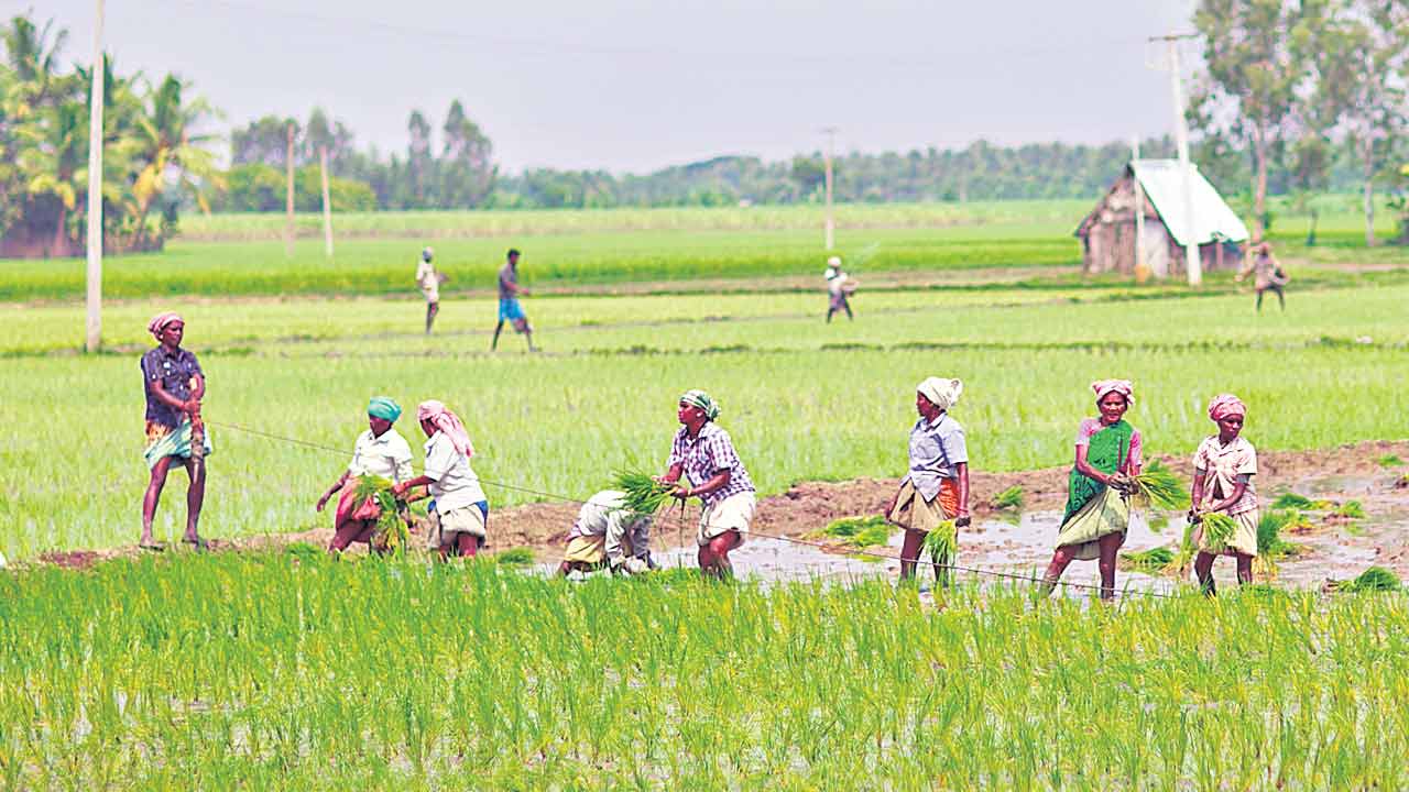 మేం అర్హులం కాదా?