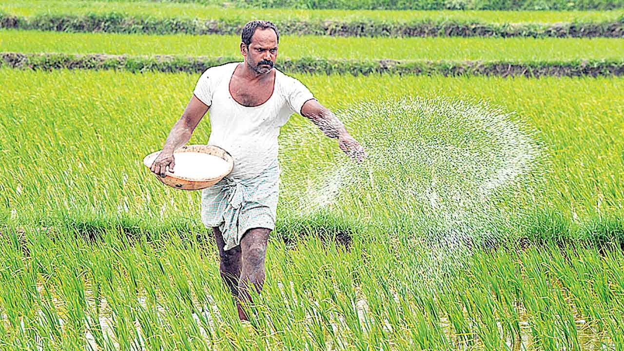 Rythu Bharosa | రైతుభరోసాలో భారీ కోతకు రంగం సిద్ధం.. ఏటా కోటి ఎకరాలకు చెయ్యివ్వనున్న ప్రభుత్వం!