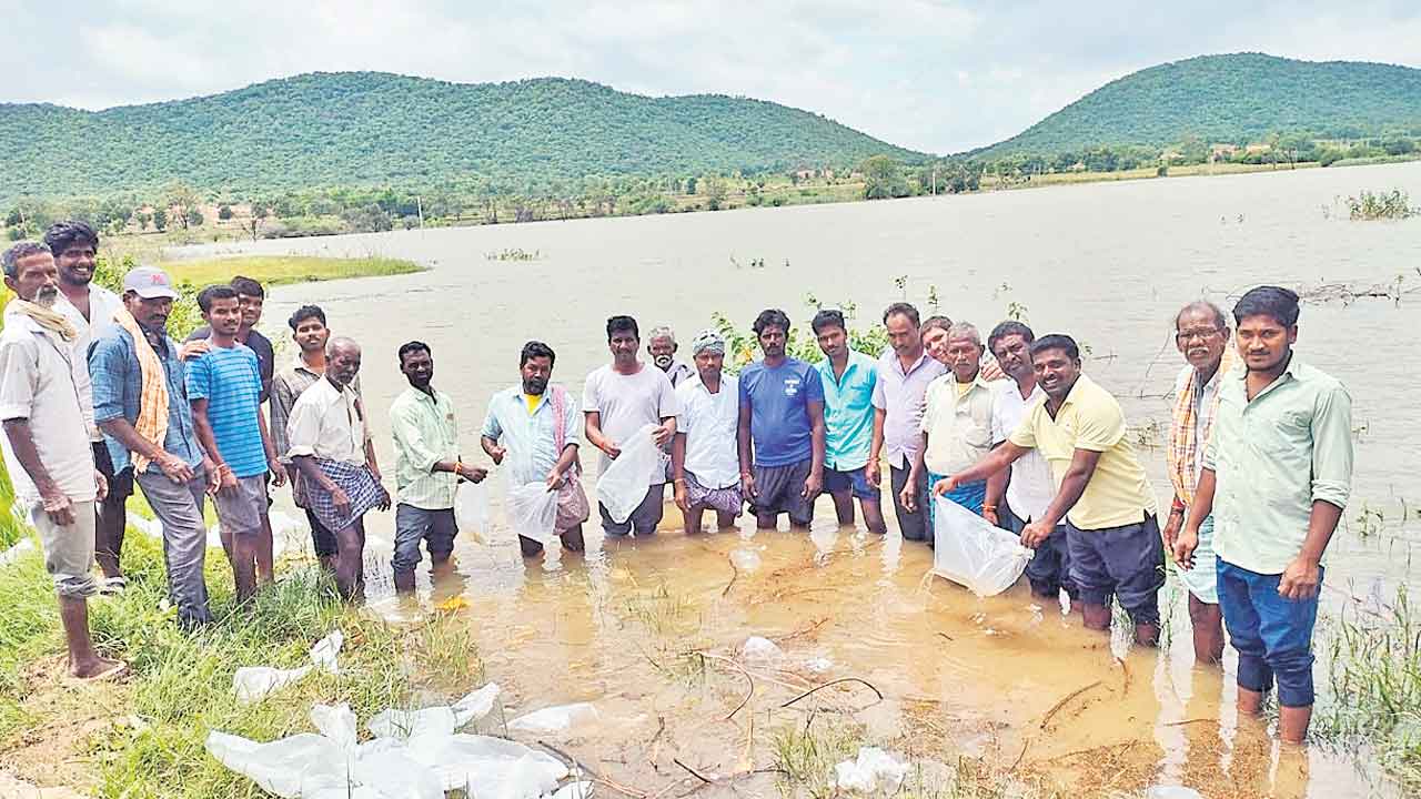 చేపపిల్లల పంపిణీపై చేతులెత్తేసిన సర్కారు
