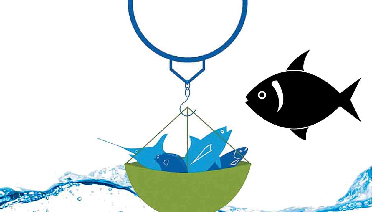 మీన మేషాలు..