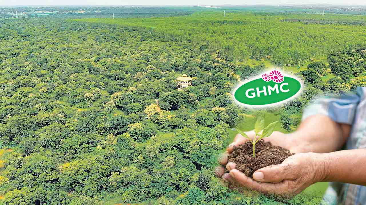 Vana Mahotsavam | టెండర్లు పిలిచినా నో రెస్పాన్స్‌.. వన మహోత్సవంపై నీలినీడలు!