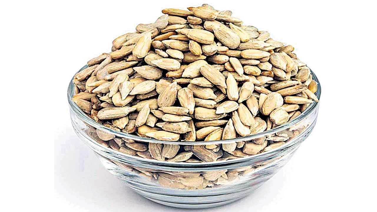 Gummadi Seeds