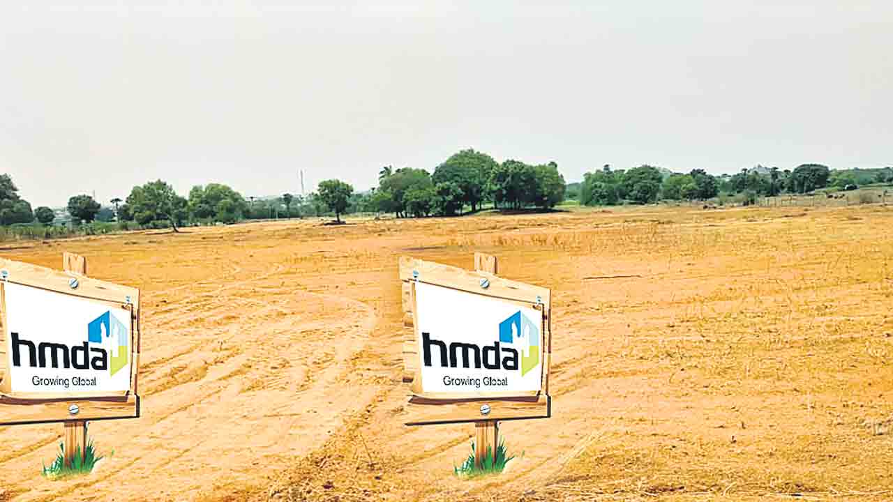 HMDA | కోహెడ కళకళ.. భూముల వేలానికి కాంగ్రెస్‌ సర్కారు రెడీ!