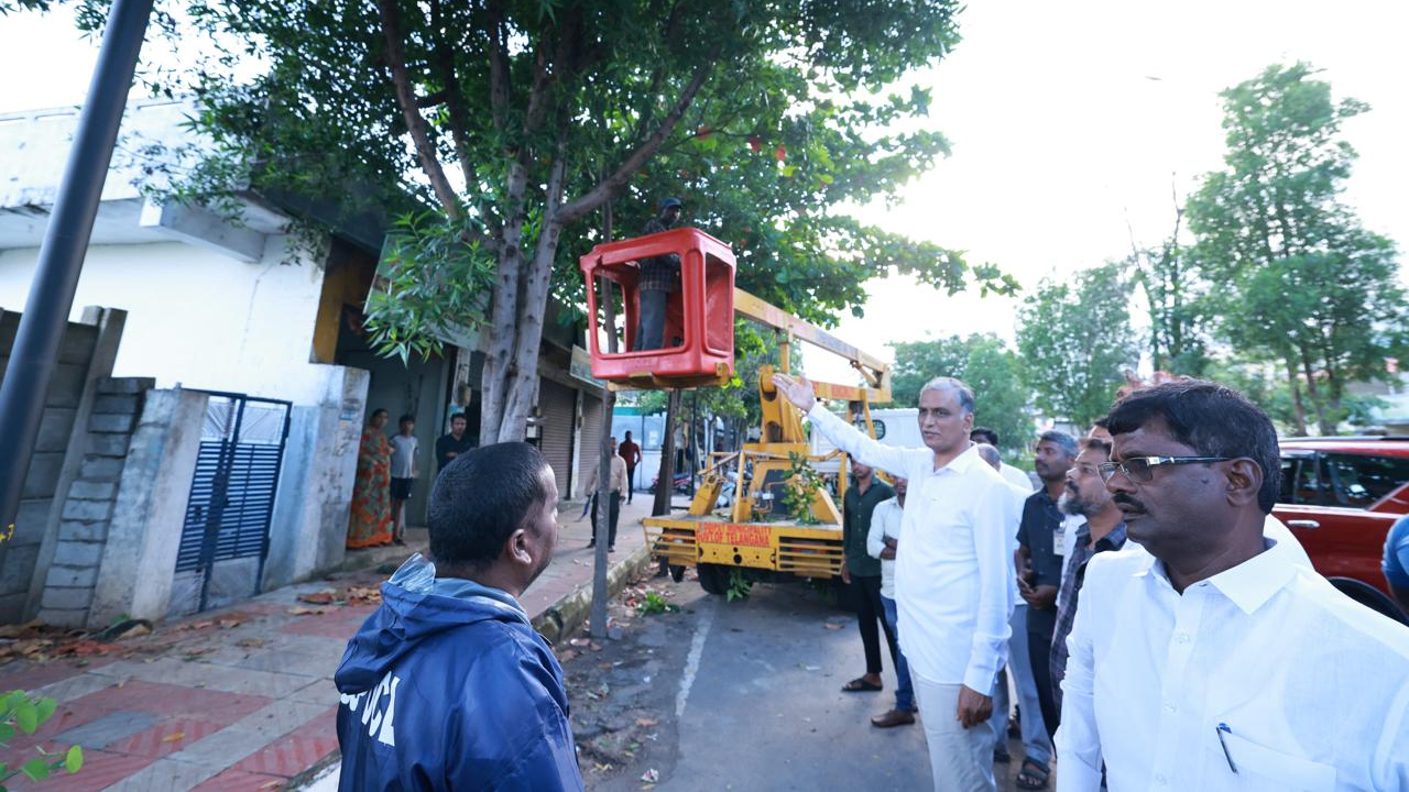 Harish Rao | చెట్ల నరికివేతపై విద్యుత్‌ సిబ్బందికి హరీశ్‌రావు మందలింపు..!
