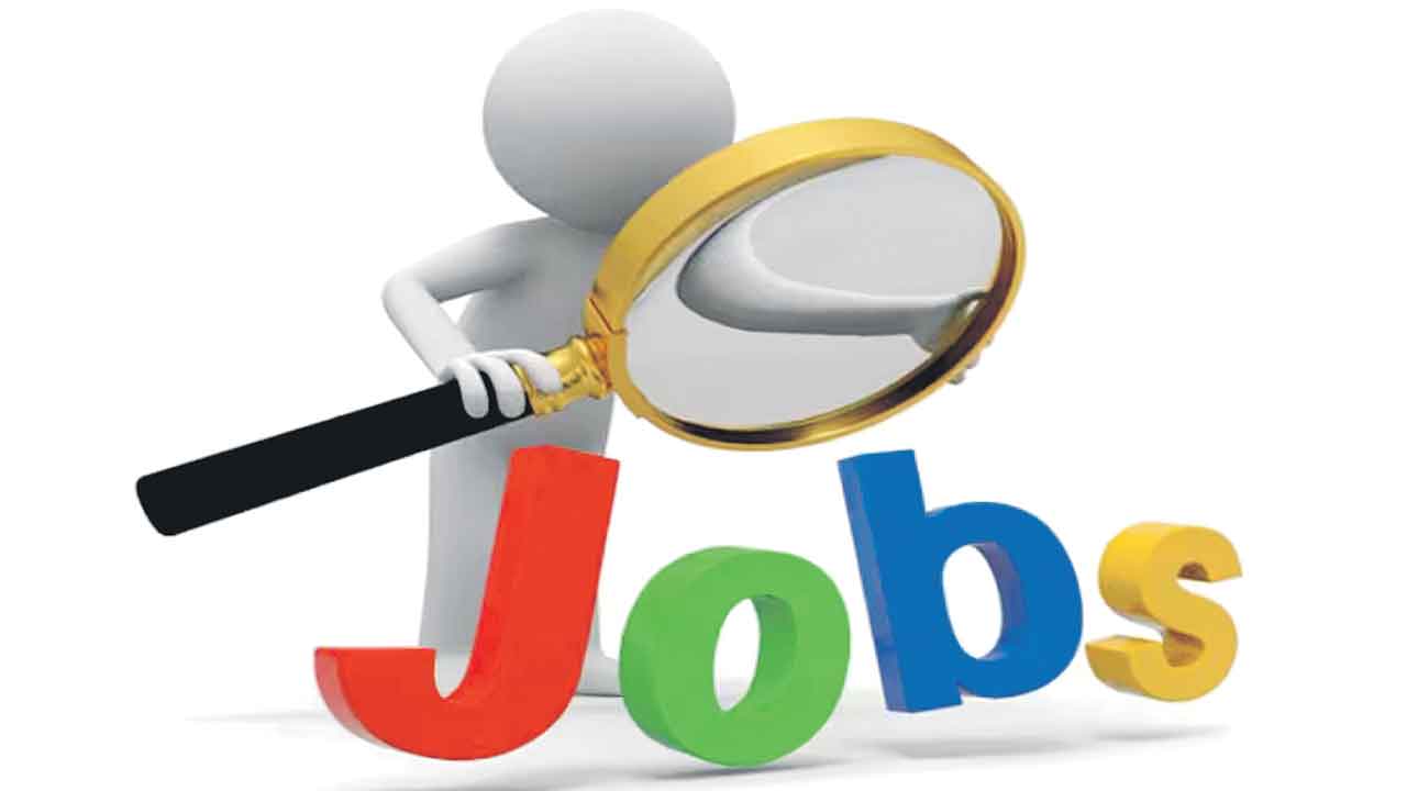 జాతీయ రహదారుల సంస్థలో ఉద్యోగావకాశాలు