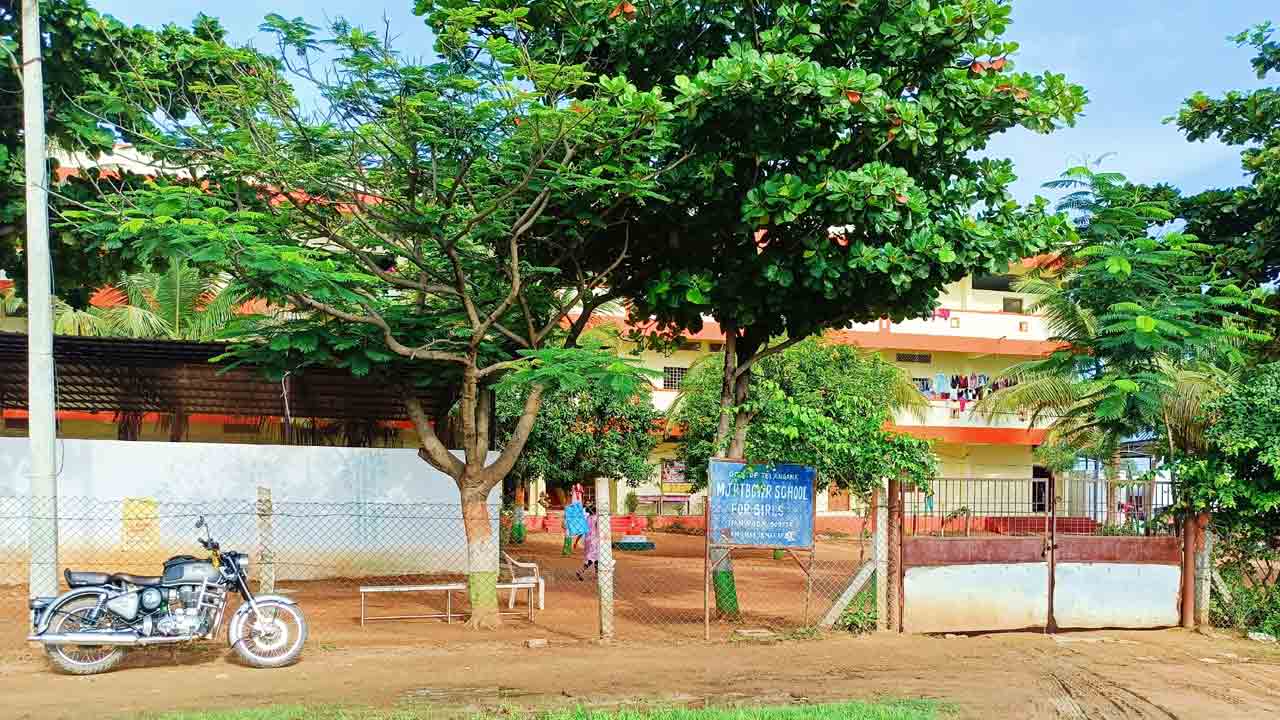 ప్రహరీ లేక విషసర్పాల సంచారం