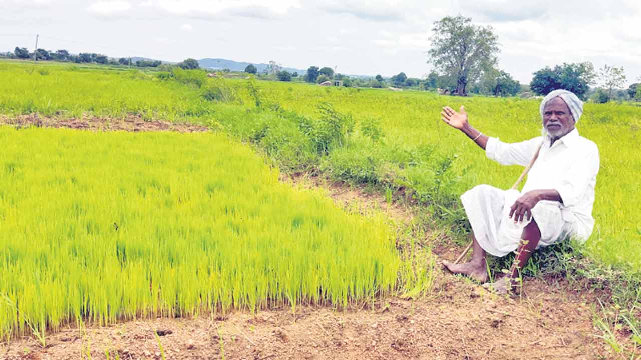 Karimnagar2