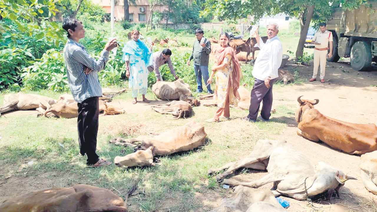 లారీలో కుక్కి.. అడ్డంగా చిక్కి