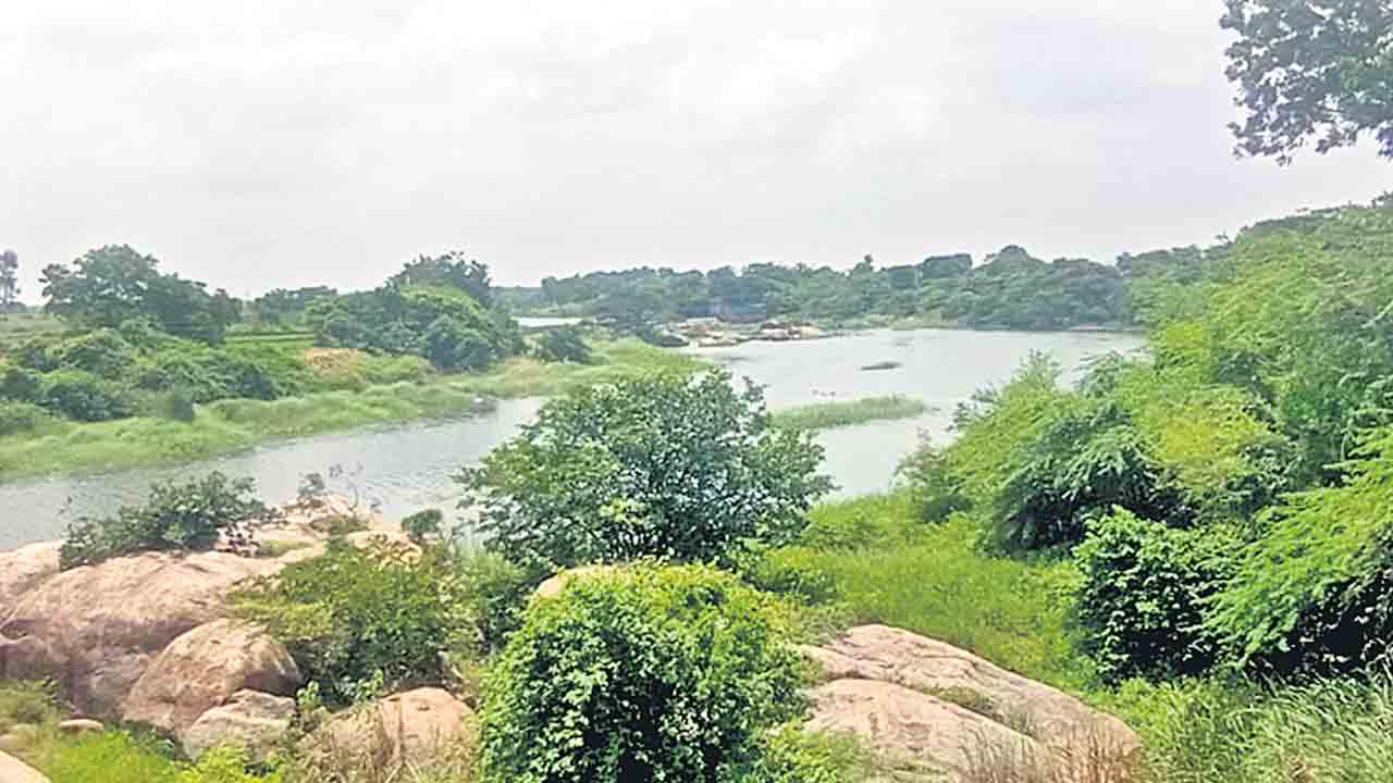 ప్రవహిస్తున్న కూడవెల్లి వాగు