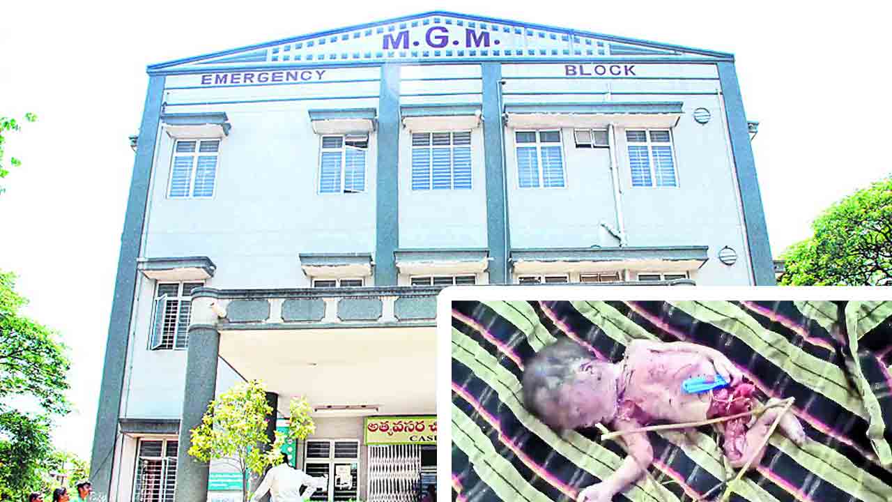 అయ్యో పాపం