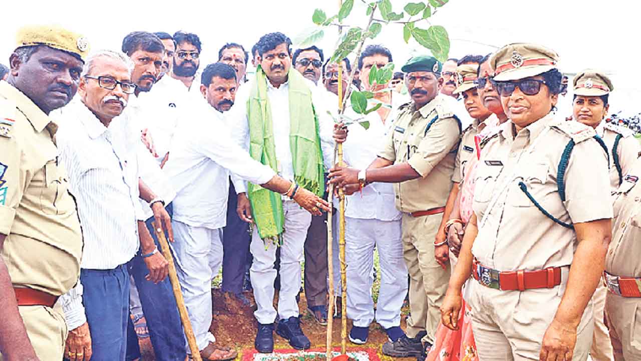పచ్చని చెట్లు ప్రగతికి మెట్లు