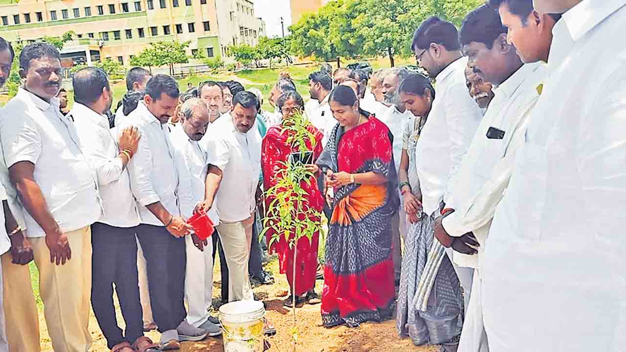 మొక్కలు నాటి సంరక్షించాలి