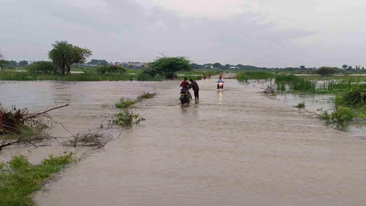 Makthal