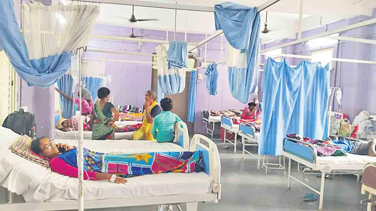 విజృంభిస్తున్న విష జ్వరాలు