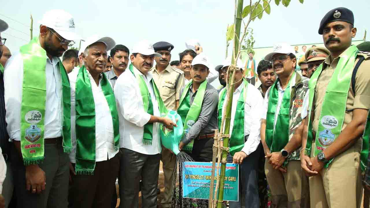 మొక్కలను బాధ్యతగా పెంచాలి