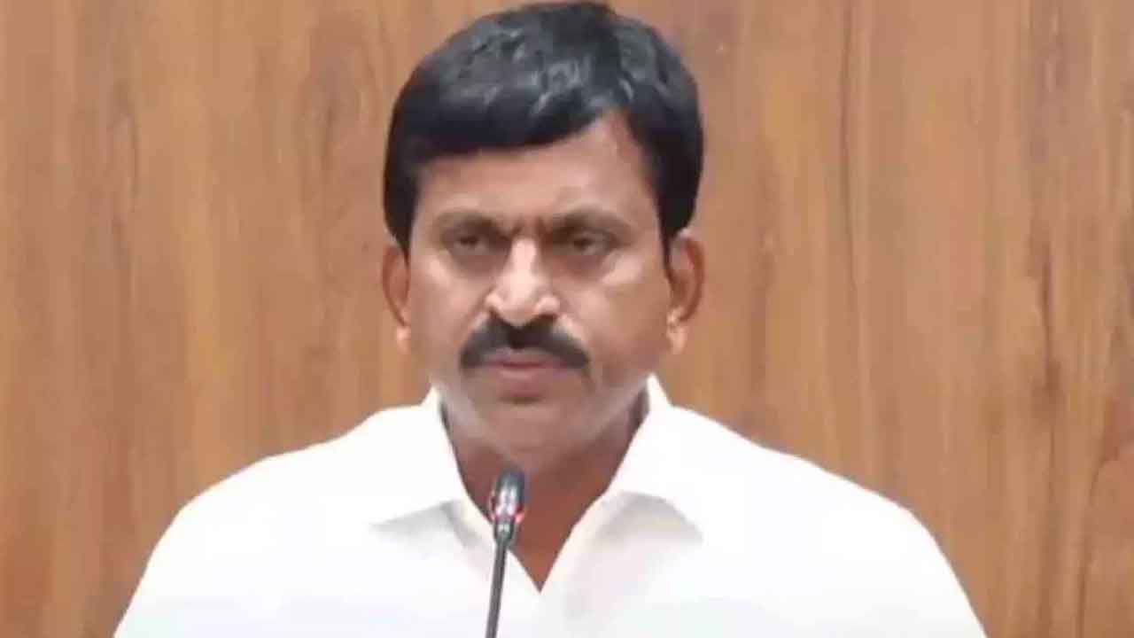 రెవెన్యూ సమస్యల పరిష్కారానికి చర్యలు