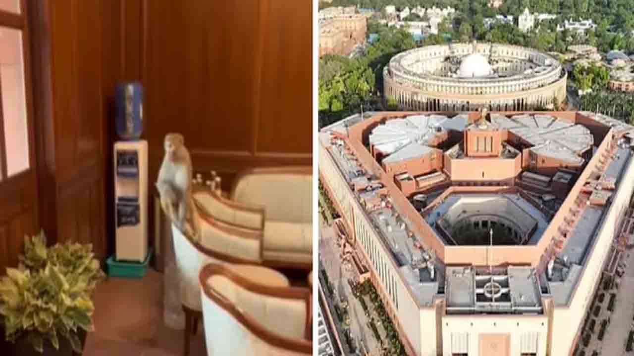 Watch: పార్లమెంటు ఆవరణలోకి ప్రవేశించిన కోతి.. ఆ తర్వాత ఏం జరిగిందంటే?