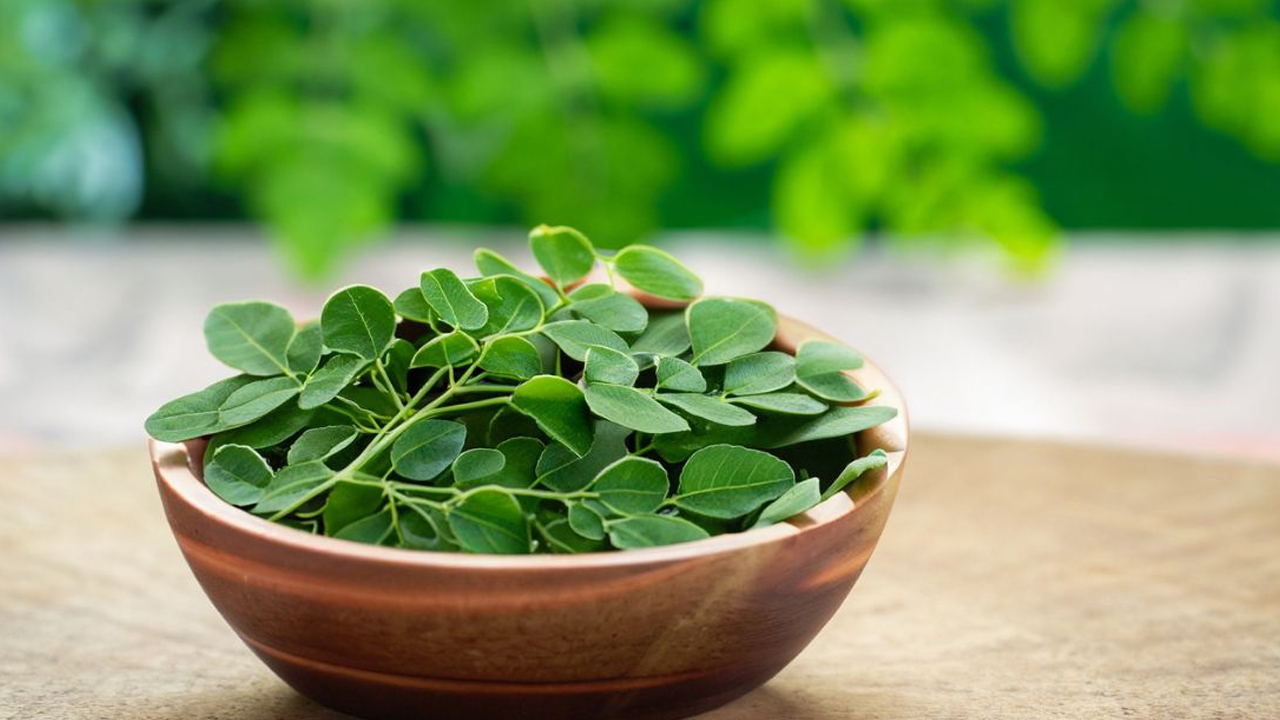 Munagaku | మునగాకు చేసే మేలు తెలిస్తే.. తినకుండా ఉండనే ఉండరు..!