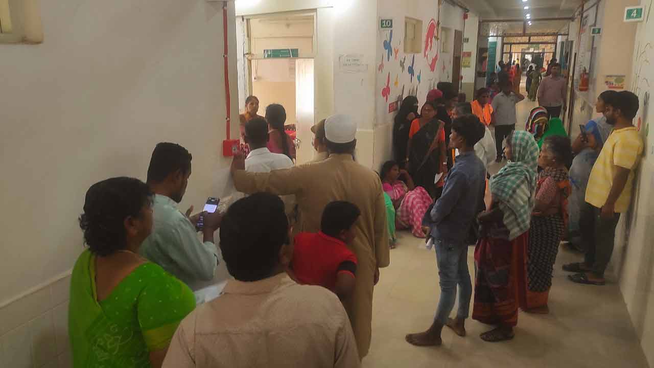 డెంగ్యూ పంజా