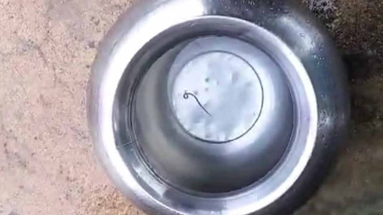 నల్లా నీటిలో వానపాములు