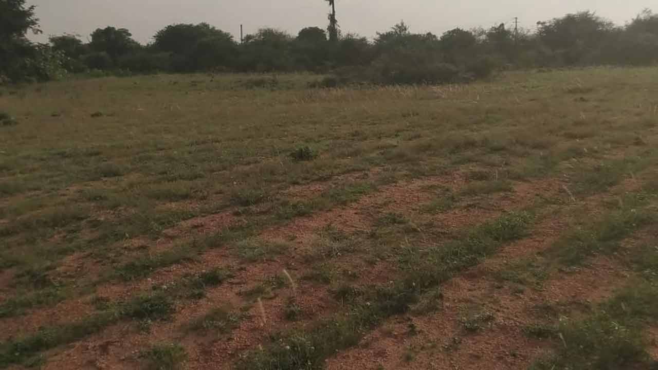 వెల్మినేడులో ఫార్మాసిటీ?