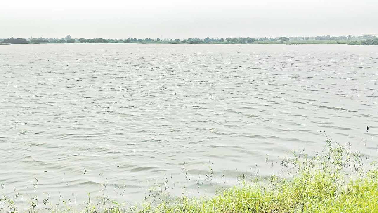 జలసవ్వడి