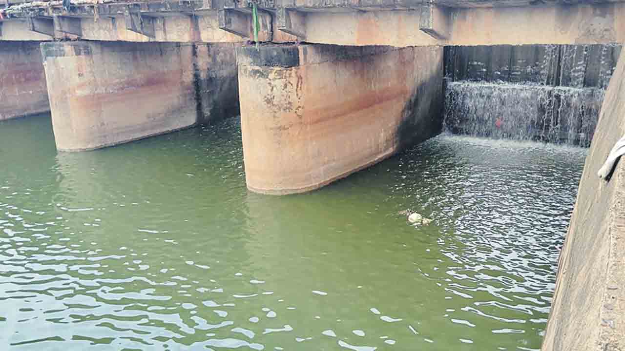 నిండుకుండలా నారింజ ప్రాజెక్టు