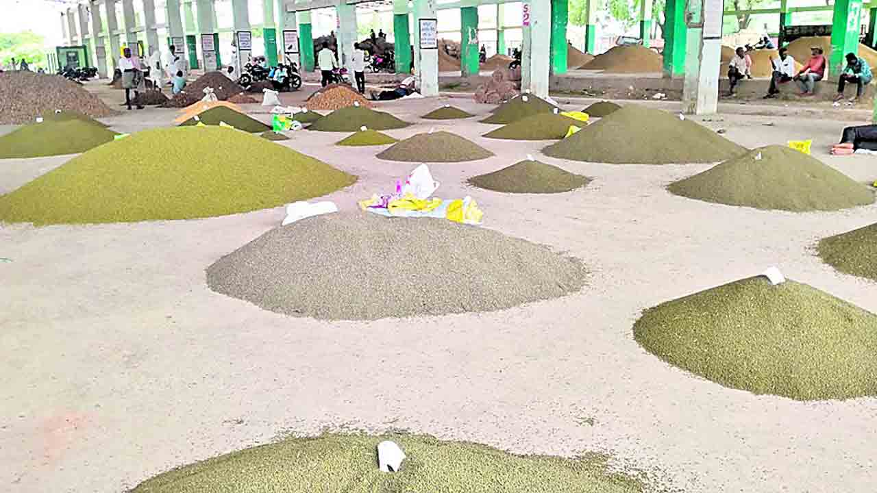 పెసరకు పిసరంతే ధర