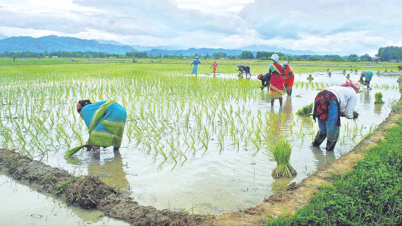 రైతన్నల అప్పు బాట