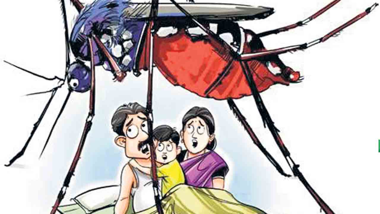 పల్లెకు ఫీవర్‌