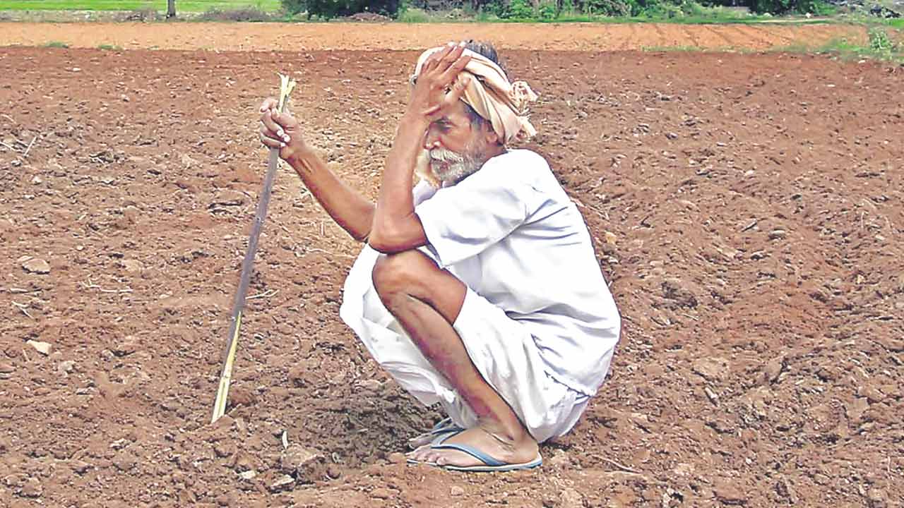 వేలల్లో ఫిర్యాదులు