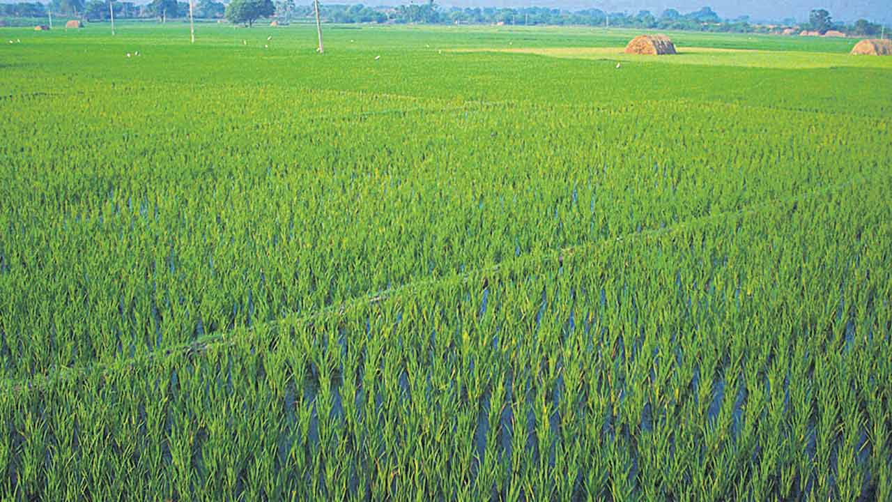 మాఫీపై గౌతాపూర్‌ గరం.. గరం..