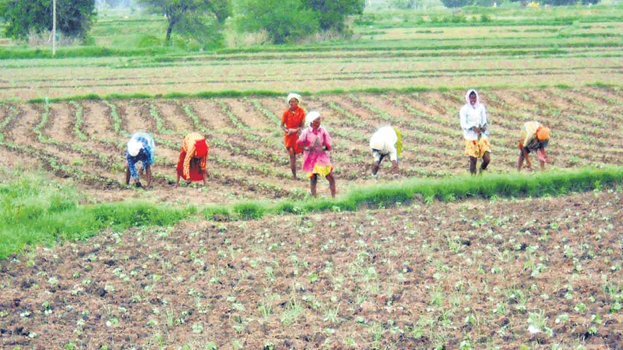 మాఫీ 30 శాతమే..